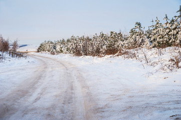 Beautiful winter landscape. Morning sunrise, evening sunset. Nature of Saratov, Russia in winter. Snow-covered motor road with trees on the roadside.