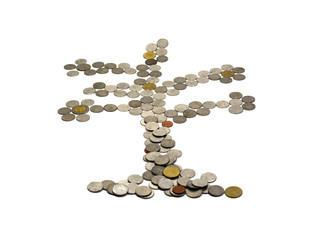 the tree of coins,stack of coins on white background isolated