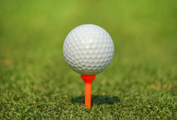 Close up golf ball on orange tee at green grass in golf course