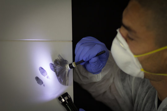 A forensic expert finds a fingerprint at the crime scene with the help of a brush and a lamp