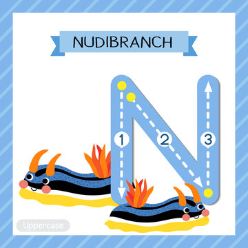 Letter N uppercase cute children colorful zoo and animals ABC alphabet tracing flashcard of Colorful Nudibranch for kids learning English vocabulary and handwriting vector illustration.