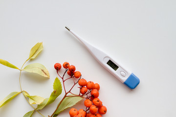 Fototapeta premium a thermometer to measure the temperature and Autumn red rowan