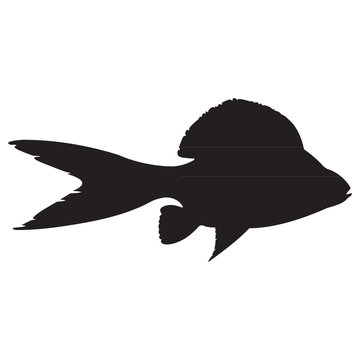 Monochrome icon with fantastic fish