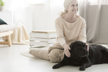 Smiling woman during dog therapy - obrazy, fototapety, plakaty
