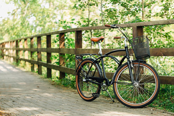 Pretty retro bicycle with busket in park.
