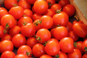 Tomaten