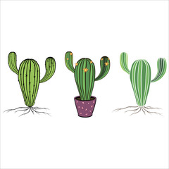 Cactus flower set. Hand drawn cacti home plant collection. Vector illustrations