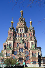 Fototapeta premium St. Peter and Paul Cathedral in Peterhof, the suburb of St. Petersburg, doesn't belong to a palace complex
