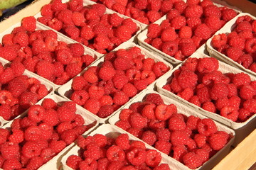 Himbeeren
