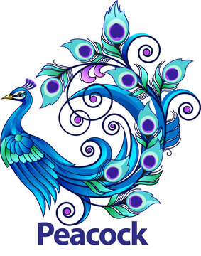 Vector illustration, modification peacock