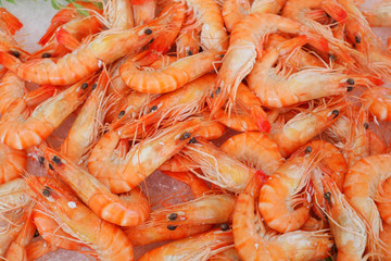 Many fresh shrimps