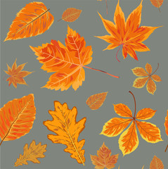 Obraz premium Vector Seamless Autumn fall season patten background floral watercolor style with colorful falling orange yellow leaves of forest maple oak tree. Decorative beautiful painted print on light gray