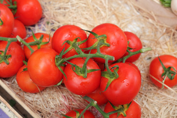 Tomatoes in the market