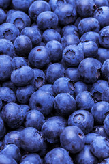 Blaubeeren