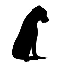 Vector silhouette of dog on white background.