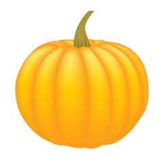 Orange pumpkin. Vector illustration. Food. Haloween. Vegetables. Plant. Nature. Autumn. October.