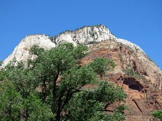 Rocks Around the Zion Lodge