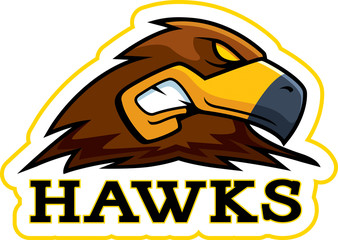 Cartoon Hawk Mascot