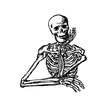 human skeleton keeping hand on chin vector illustration sketch hand drawn with black lines, isolated on white background