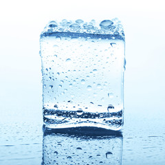 Transparent ice cube with reflection on white