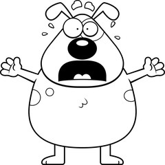 Scared Dog