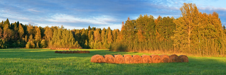The panorama of the edge of the forest at sunset and field with rolls of hay. - 174005922