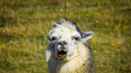 Exploring Launceston in Tasmania