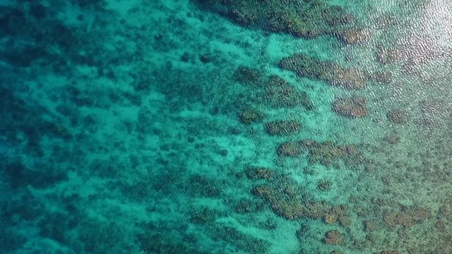 Aerial Image of Coral Reef in Belize