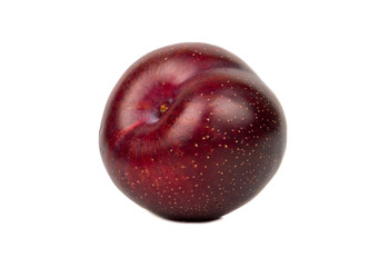 Big red plum