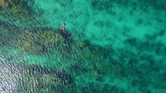 Aerial View of Snorkelers on Caribbean Coral Reef