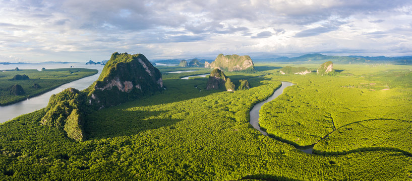 Amazing mangrove forest with beautiful sunlight at Phang-Nga bay, Thialand, Panorama view