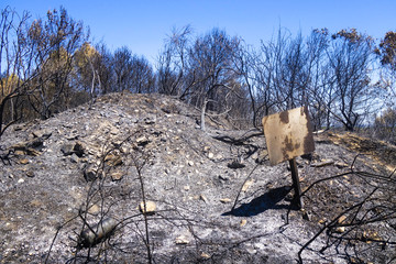 Incendie en garrigue