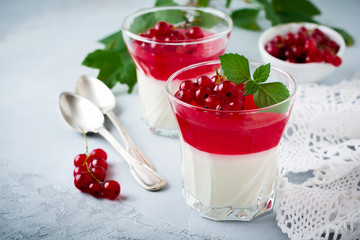 Panna cotta with red currant jelly in vintage glasswith leaves of mint and berries on gray stone or concrete background. Traditional Italian dessert. Selective focus.