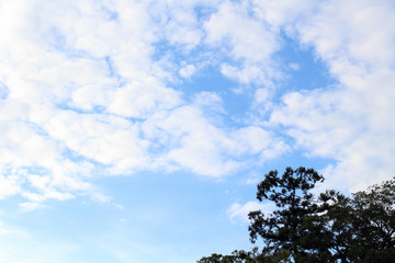 Finally, blue sky in Kyoto -even though it's still cloudy-