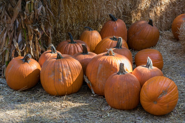 Pumpkins sitting in the straw are piled in the shape of a triangle