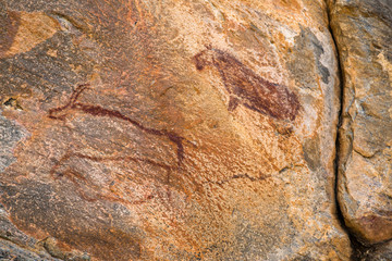 Rock art - Tsodilo Hills - Botswana