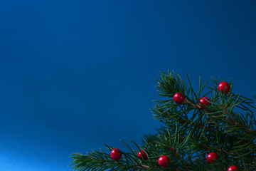 Christmas tree decorated with red balls