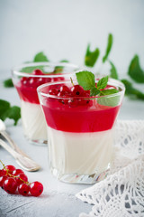 Panna cotta with red currant jelly in vintage glasswith leaves of mint and berries on gray stone or concrete background. Traditional Italian dessert. Selective focus.