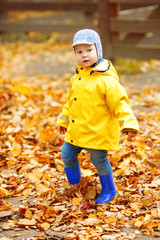 Little boy on background of autumn park. Child with a maple leaf. Fall scene.