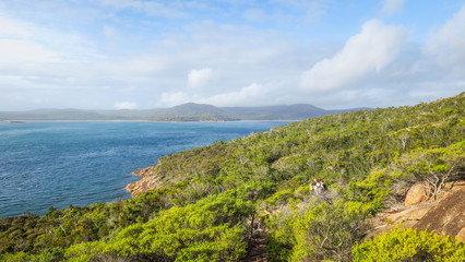 Fototapeta na wymiar Cape Pillar in the south of Tasmania