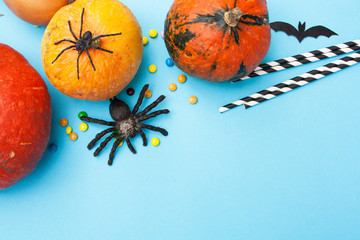 Preparing for the holiday of Halloween. Pumpkin Halloween and spiders on a blue background