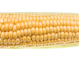 corn cob