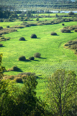 Landscape in the distance