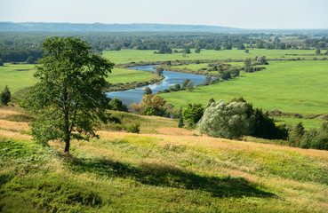 Landscape with birch