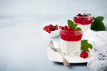 Obraz na płótnie Canvas Panna cotta with red currant jelly in vintage glasswith leaves of mint and berries on gray stone or concrete background. Traditional Italian dessert. Selective focus.