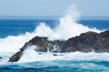 Sea Spray