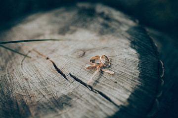 wedding rings with bouquet and blurred background