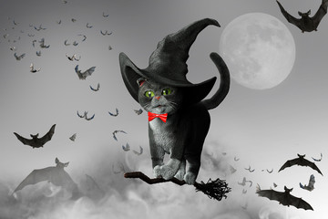 3D Illustration of cat wearing a witches hat on Halloween flying on a broom on a white background