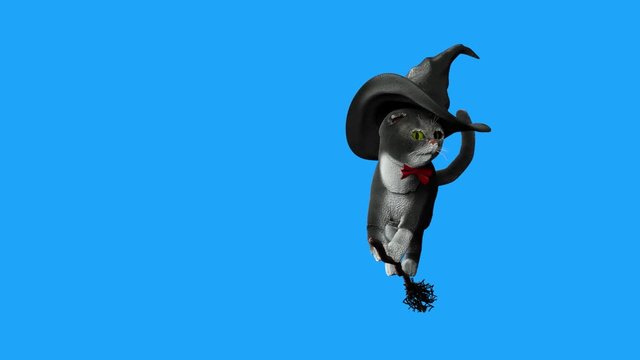 cat wearing a witches hat on Halloween flying on a broom on a blue background  3D