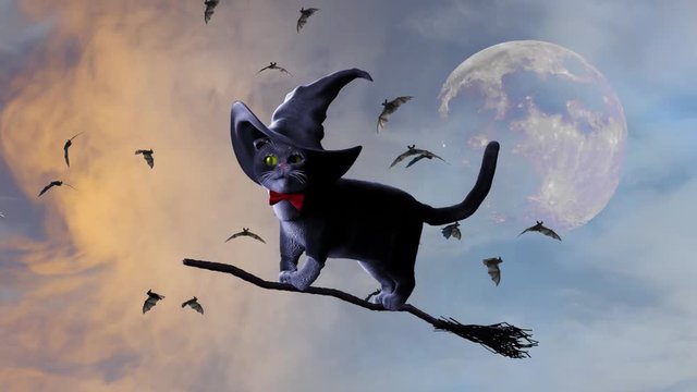 cat wearing a witches hat on Halloween flying on a broom render 3d